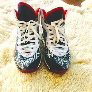 Lebron James Nike sneakers